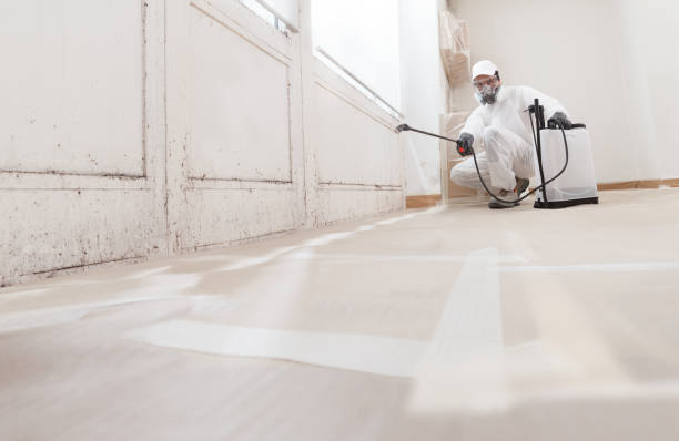 24/7 Emergency Attic Mold Removal experts in Haverford, PA
